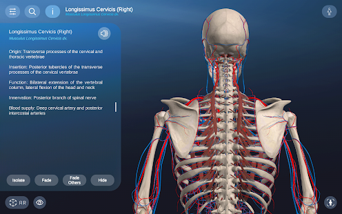AR Anatomy Screenshot