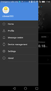 Huawei Wear Screenshot