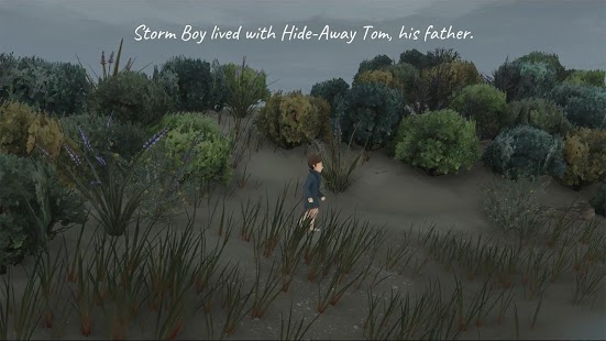Storm Boy Screenshot