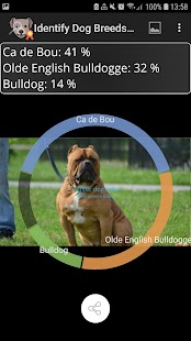 Erkenne Hunderassen Pro Screenshot