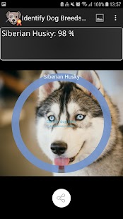 Identifikujte plemena psů Screenshot