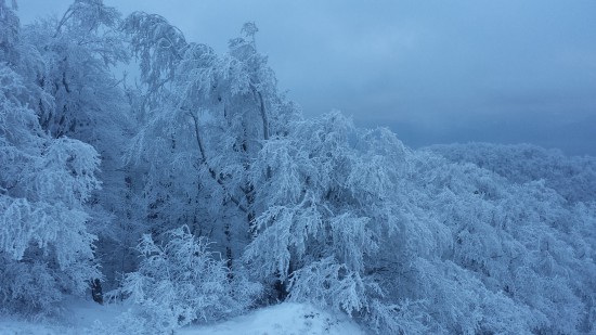 Zamrznutá krajinka (Biele Karpaty) | Samsung Galaxy S4 | Peter Somolányi