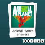 100-pics-answers-animal-planet