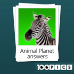 100-pics-answers-animals