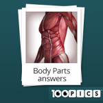 100-pics-answers-body-parts