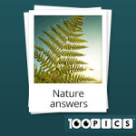 100-pics-answers-nature