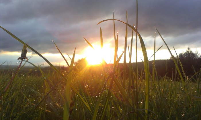 Keď sa Slnko zobudí | HTC Desire X | Filip Kubica