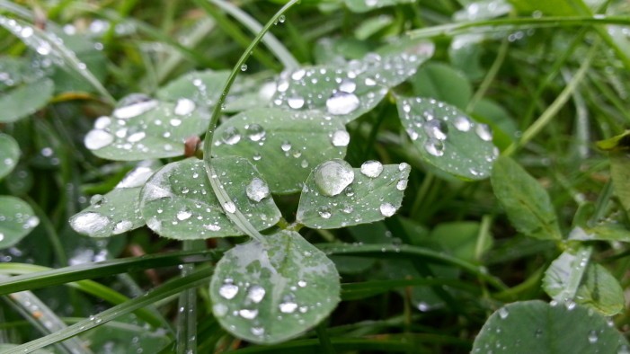 Kvapky dažďa | Marek Lengyel | Samsung Galaxy S3