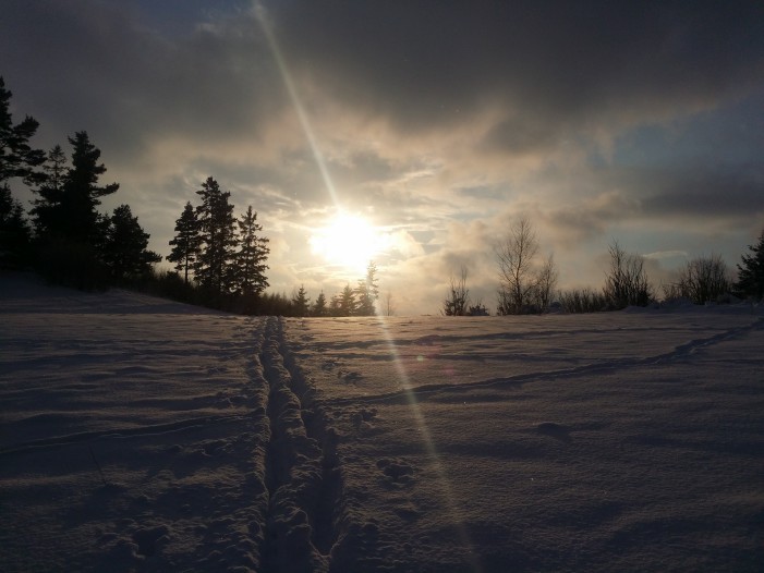 Prechádzka snehom | Galaxy Note 3 | Richard Hojstric