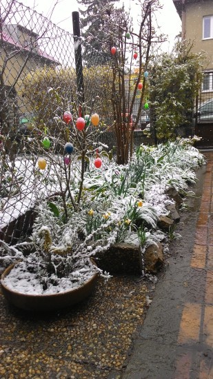 Viac snehu ako na Vianoce | Asus Zenfone 5 | Černický Adrián