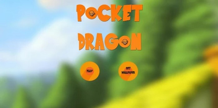 pocket-dragon-cover