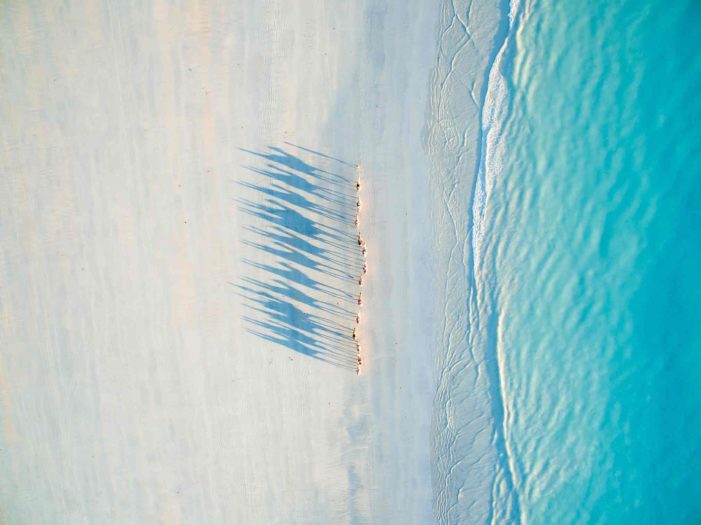 2. miesto v kategórii cestovanie má fotografia "Ťavy na pláži Cable, Západná Austrália"