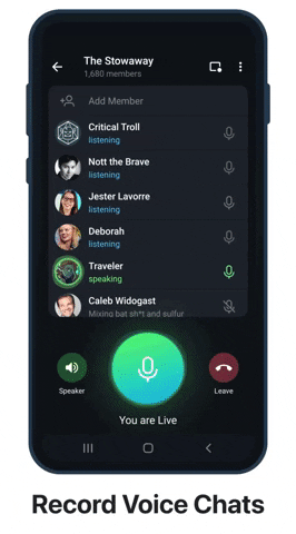 Telegram Voice Chat 2.0