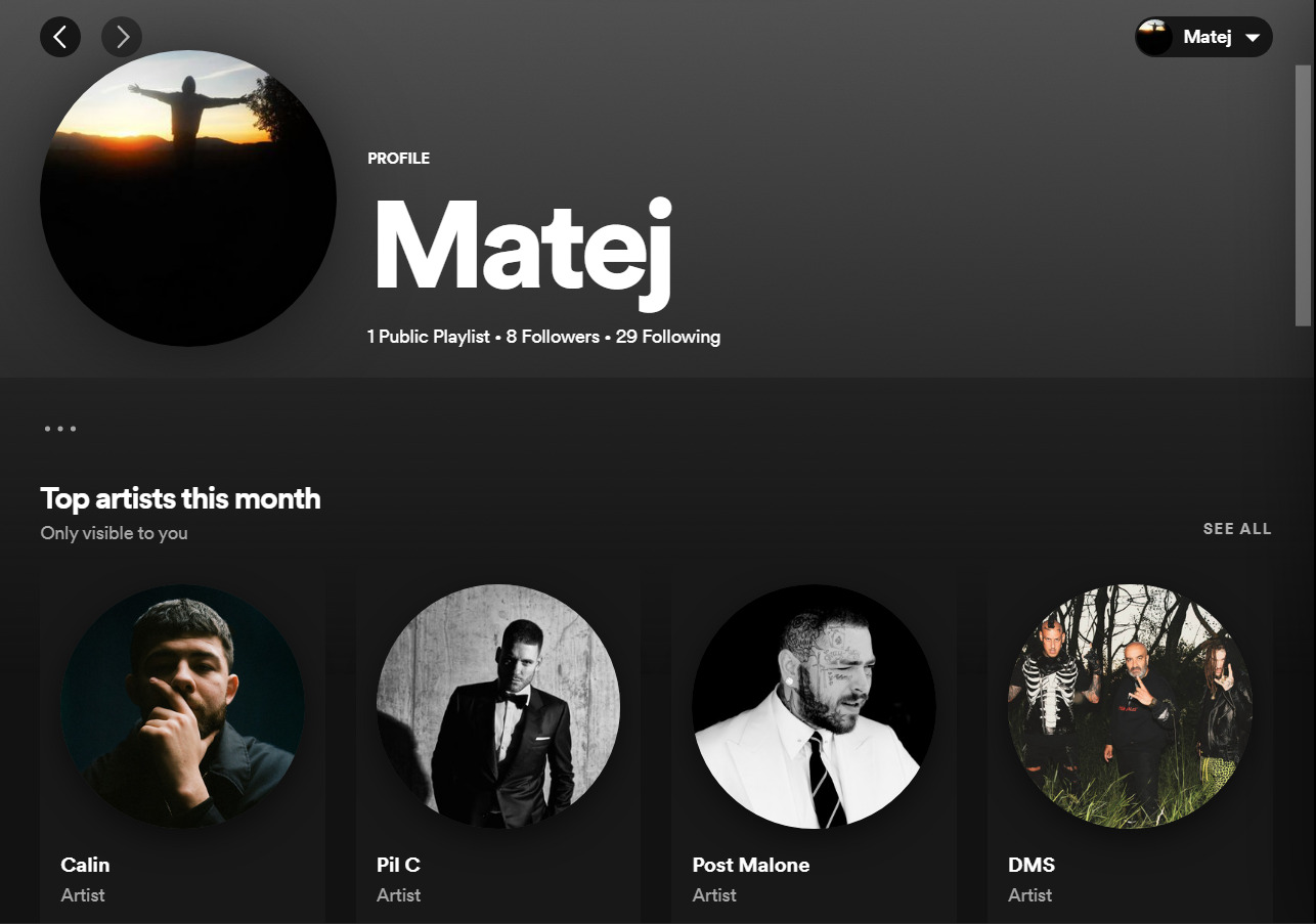TOP Artists - Spotify | Zdroj: Matej Kundis